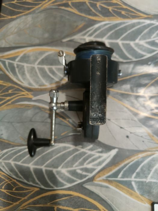 Макари Мичел и Дайва