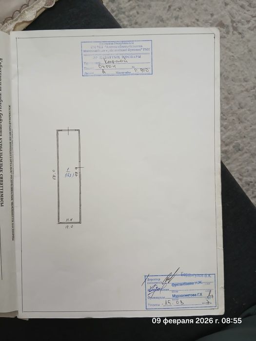Продам фазенду со скотом