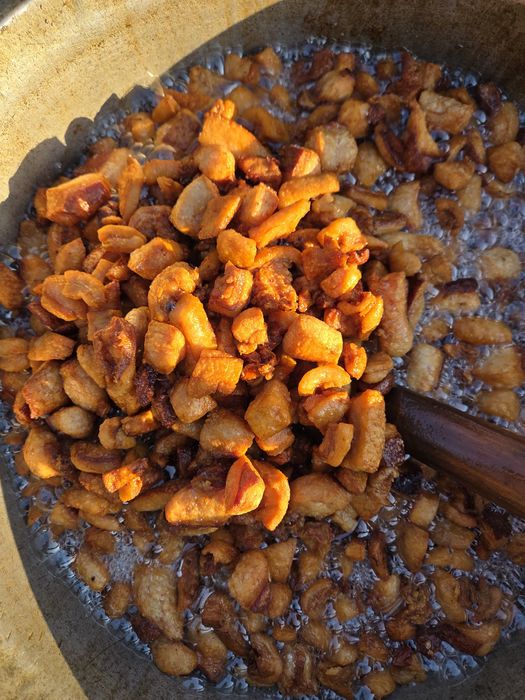 Dani,Protap,Rotisor.