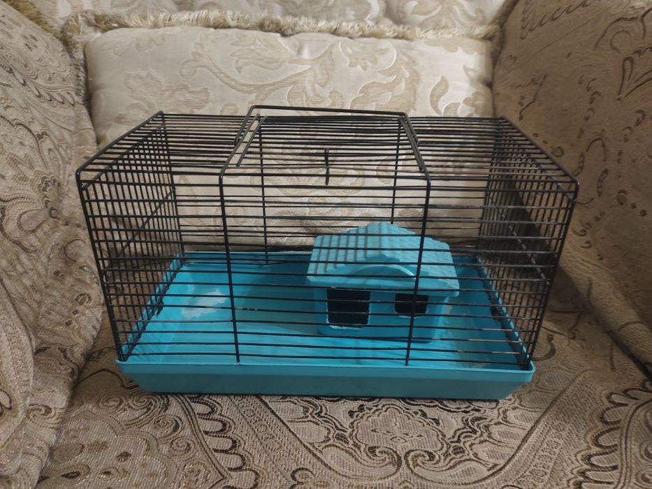 клетки для хомяка