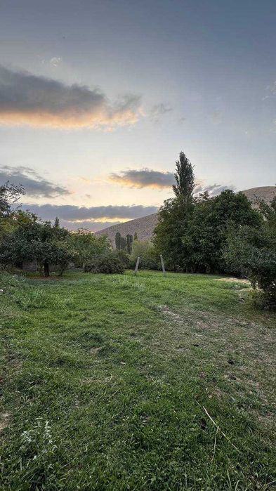 Angrenda yer sotiladi 43 sotix