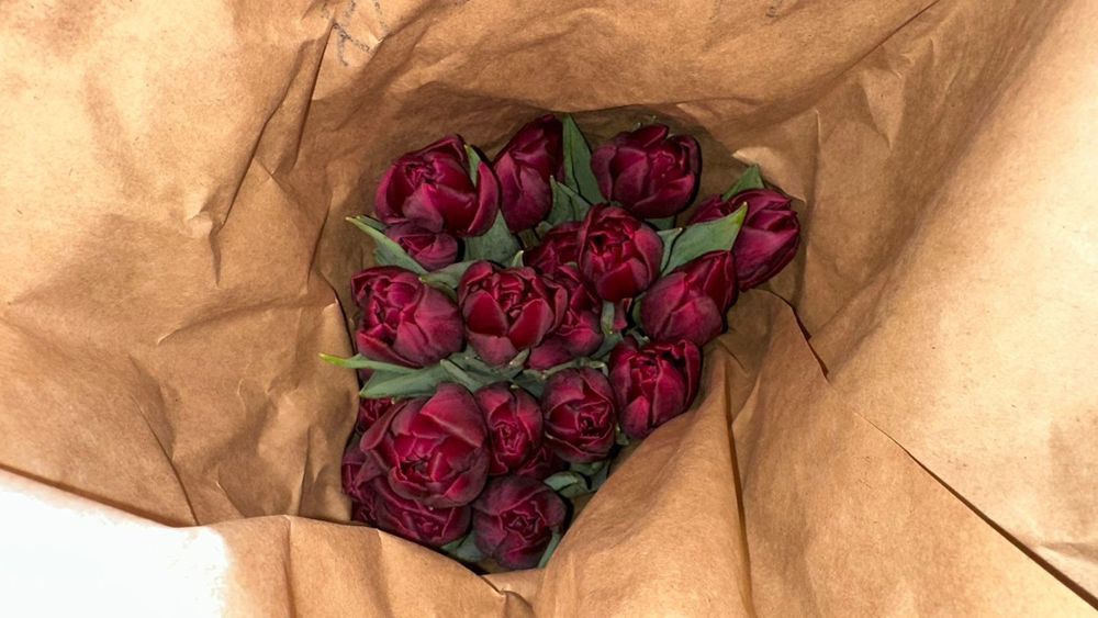 Тюльпаны на 8 марта