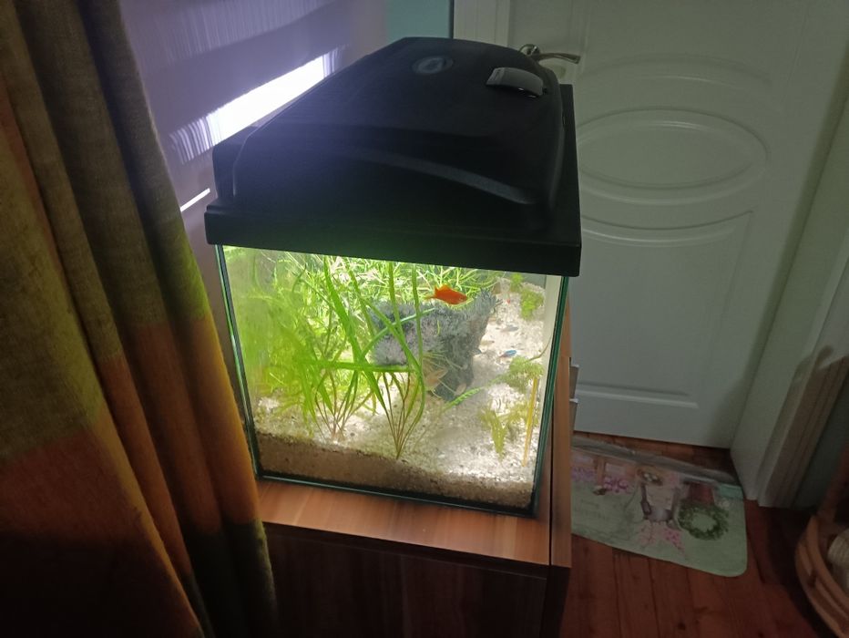 Продавам аквариум.
