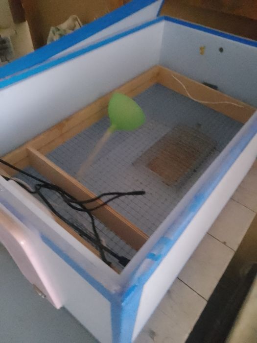 Инкубатор. Автомат.