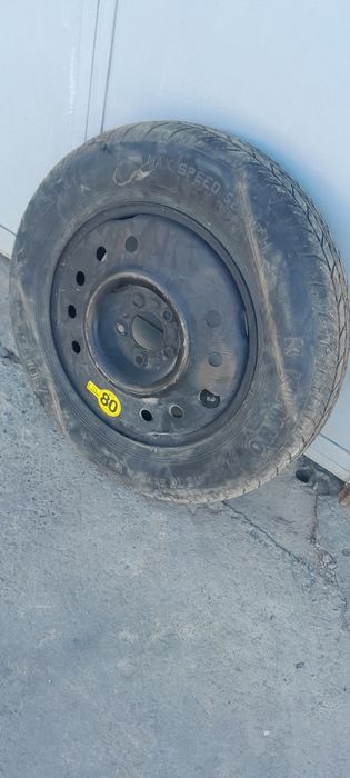 Captiva zapaska bakon