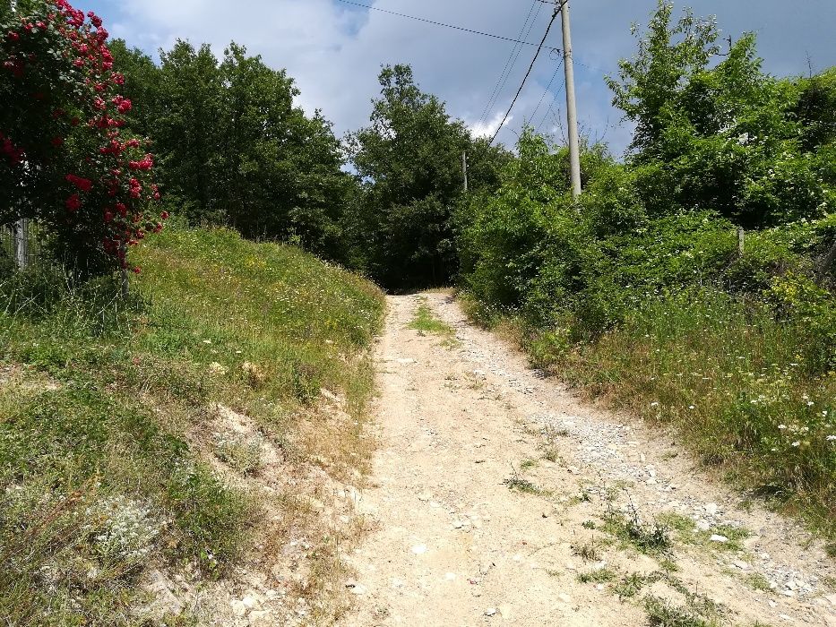 Продава се Парцел в с. Китка, Област Варна - 1150 кв.м за 11 €/кв.м - Снимка #6