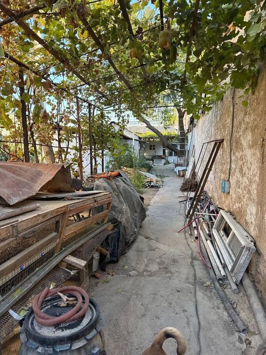 Участок 6,7 сотки (дом старый). Сергели, ул Олчазор. Метро "Yangihayot
