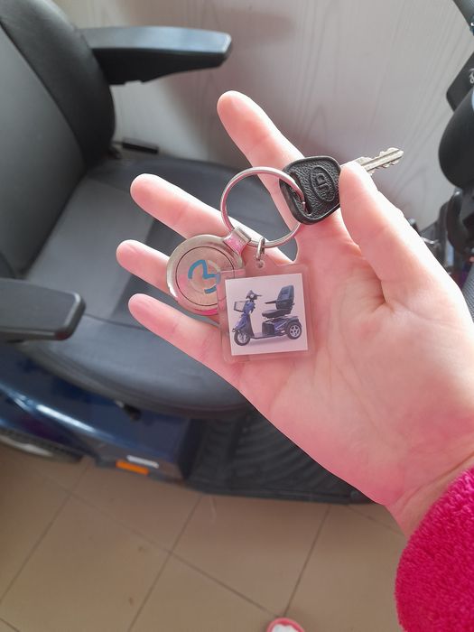 Tricicleta electrica pt adulti  mini crosser