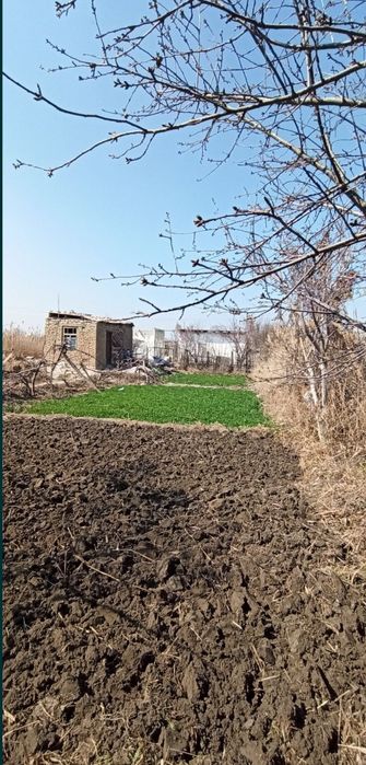 Zarafshon daryo sazanchik kafe oldi dachalari 6 sotiq shahardan 7km