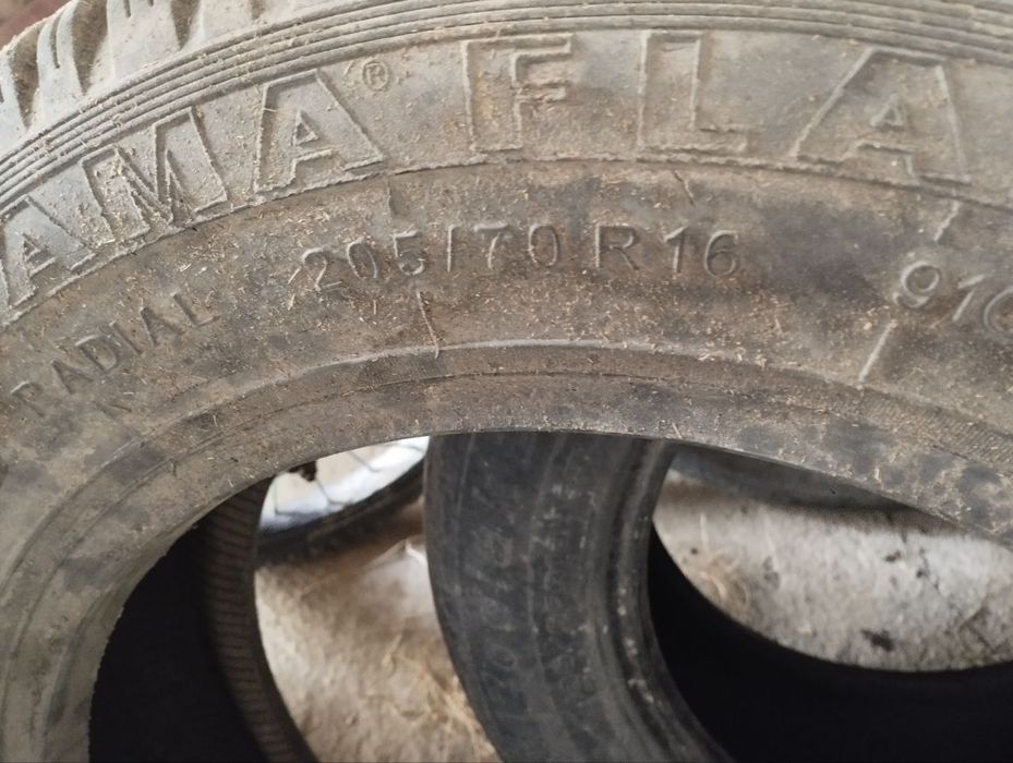 Шины и Туманик для любой