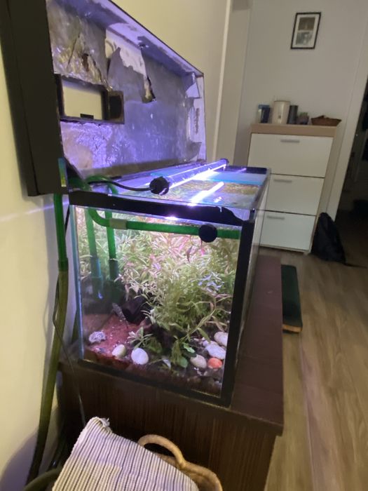 Acvariu 120 litrii cu mobila