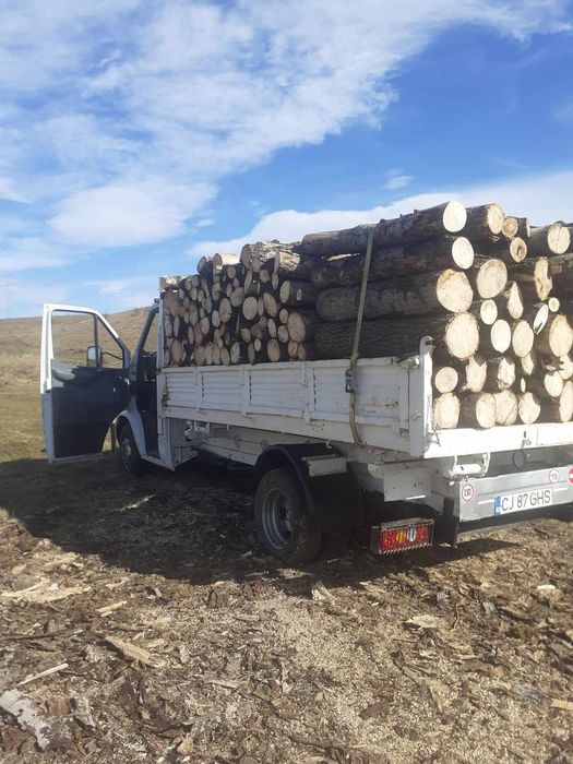 Lemne de foc la 250 lei metru