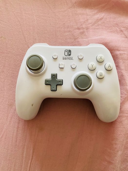 Nintendo Switch  , USB  контролер