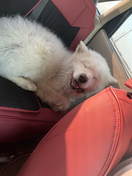 Обмен или продам