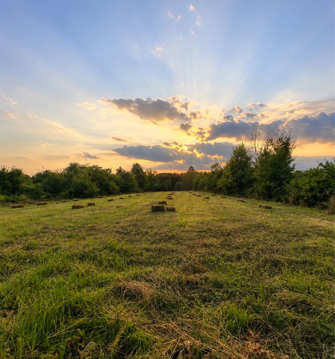 Teren de vânzare – 5.690 mp, Morărești, Argeș