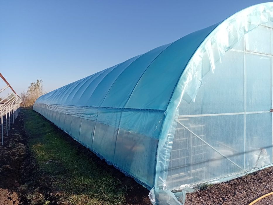 Теплицы всех видов и размеров