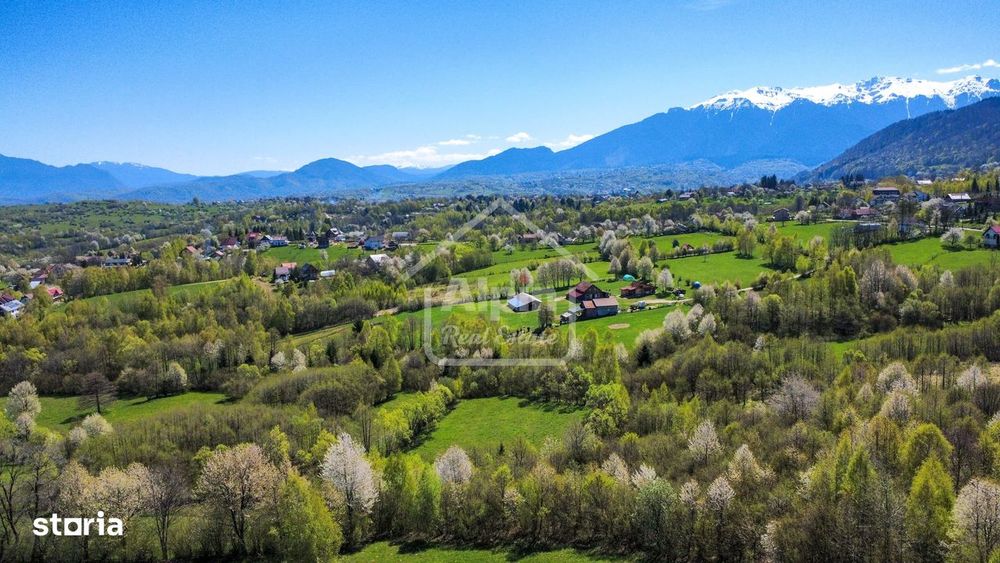 Teren Bran – Tohănița | Vedere Munții Bucegi