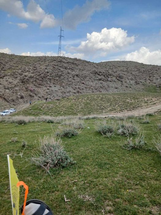 Yashil tabiatga sayohat (mayofka) xizmati