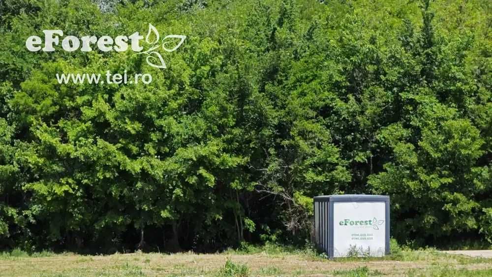 eForest, living with nature!