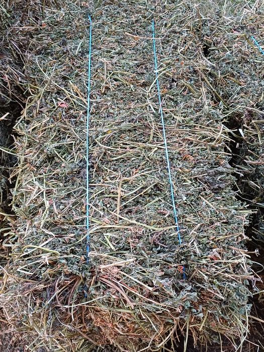 Vind baloti de lucerna