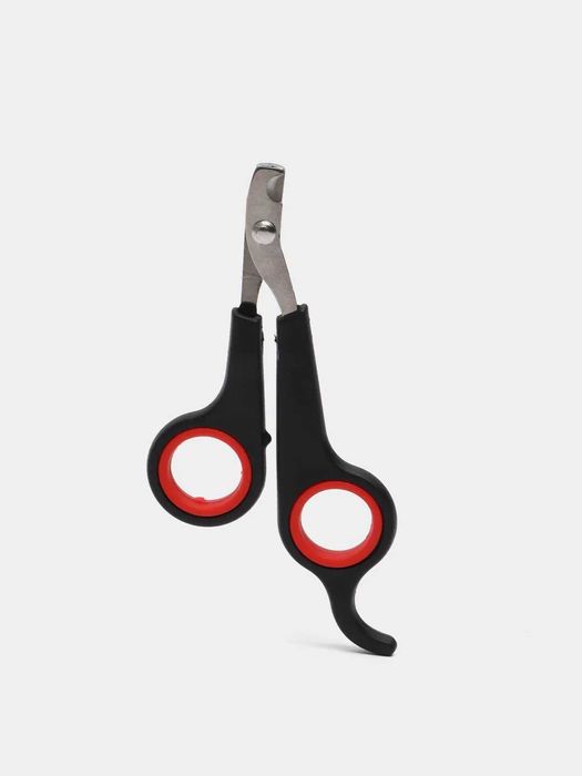 Semiz ayollar bilan kunnilingus video