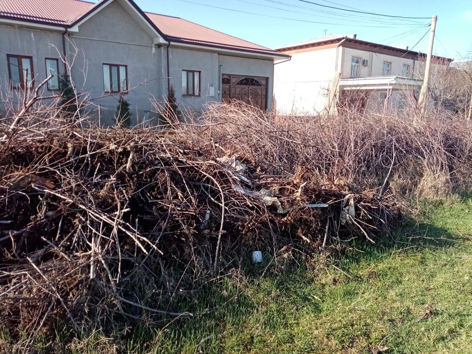 O'tin tekinga / Дрова бесплатно