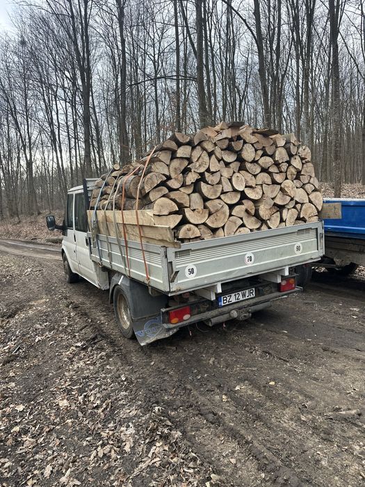 Lemne de foc uscate sau verzi