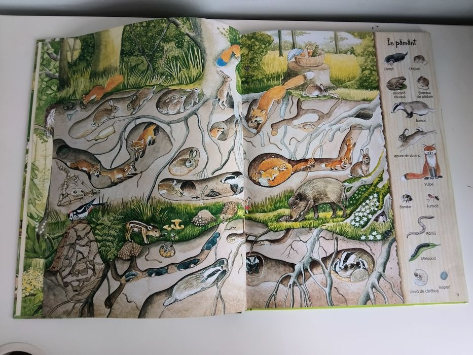 Enciclopedie copii Marea carte a naturii