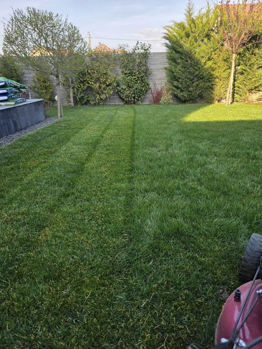 Ingrijire gradini si spatii verzi - oferte personalizate