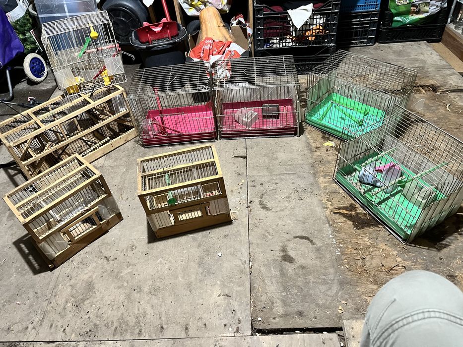 Кафези + капанджа