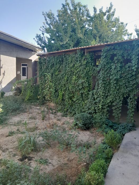 Solnichnida uy sotiladi maktab yaqin aftobuslar bor gaz suv svet zo'r