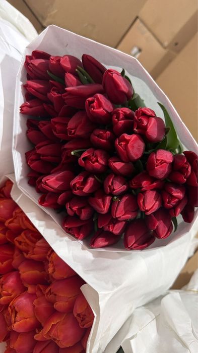 Тюльпан с оформлением