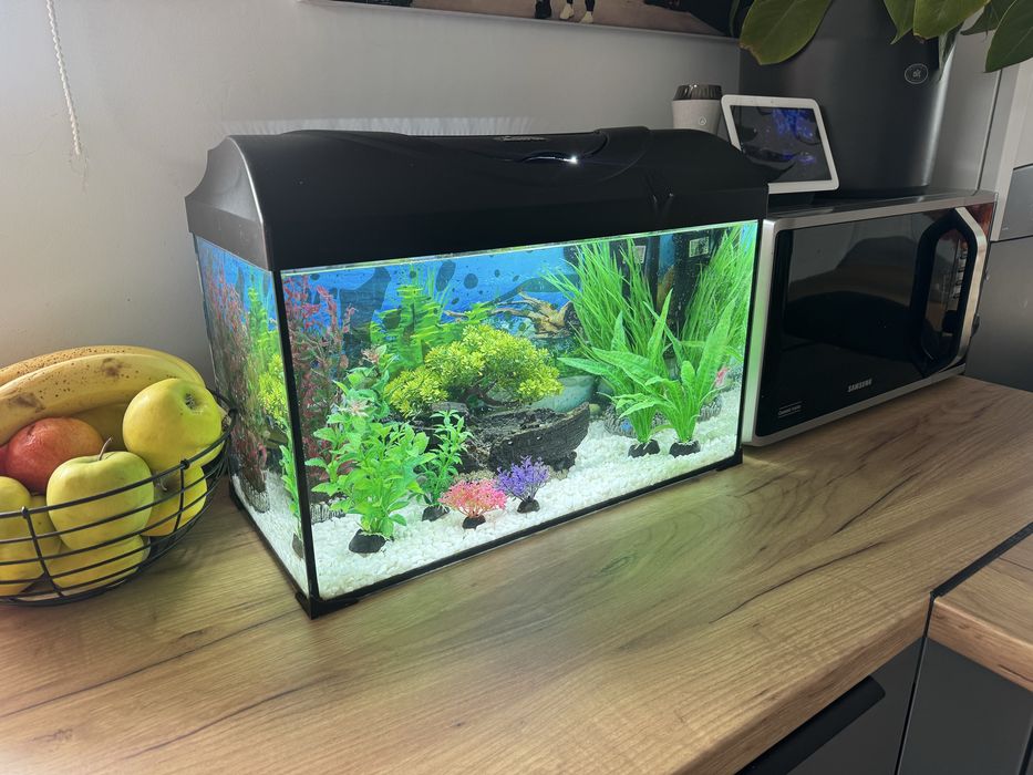 Acvariu cu accesorii