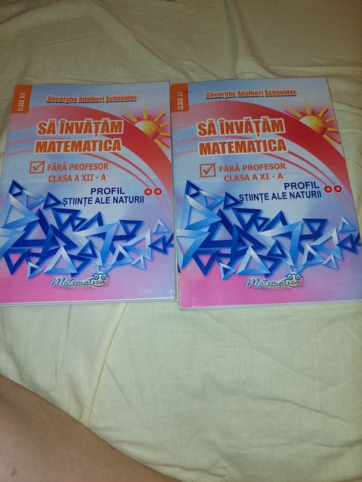Culegeri Bacalaureat