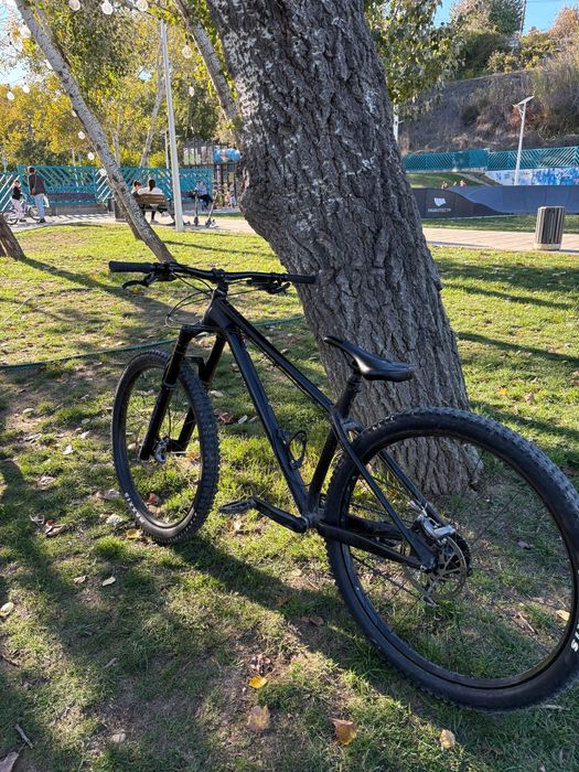 NS Bikes Eccentric Alu EVO 29