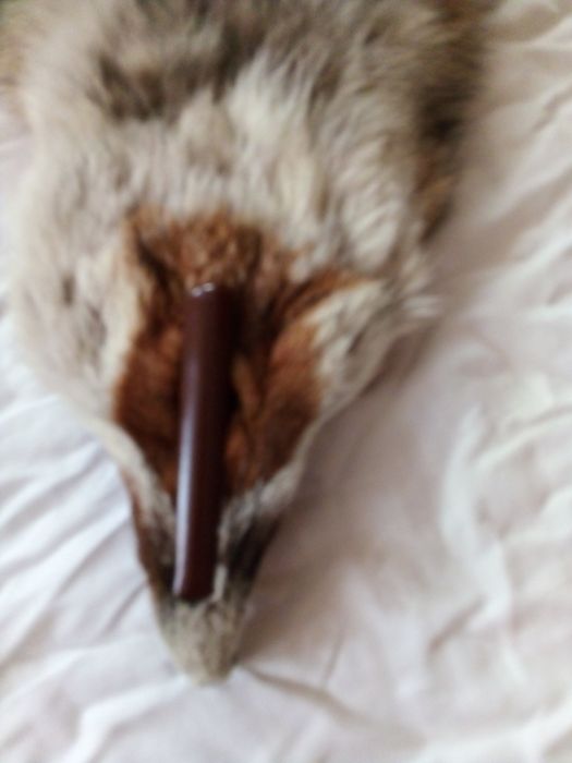 Дамски яки от лисичи цели кожи