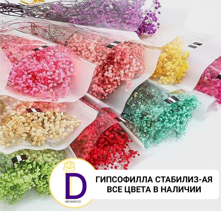 Сухоцветы стабил.цветы