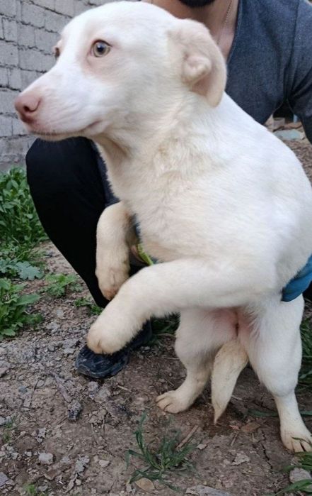 Пропала девочка подросток