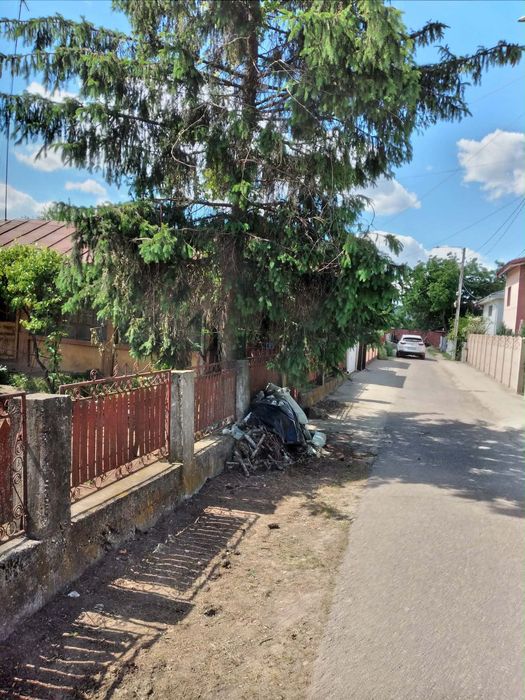 Teren comuna Berceni