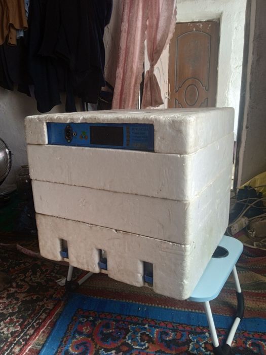 Inkubatsiya joʻja chiqaradigan aparat