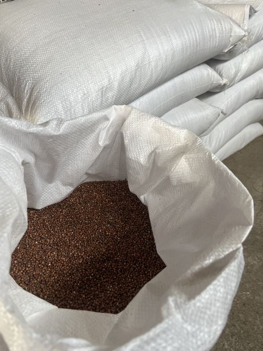 СОРГО (Червено)-за зърно