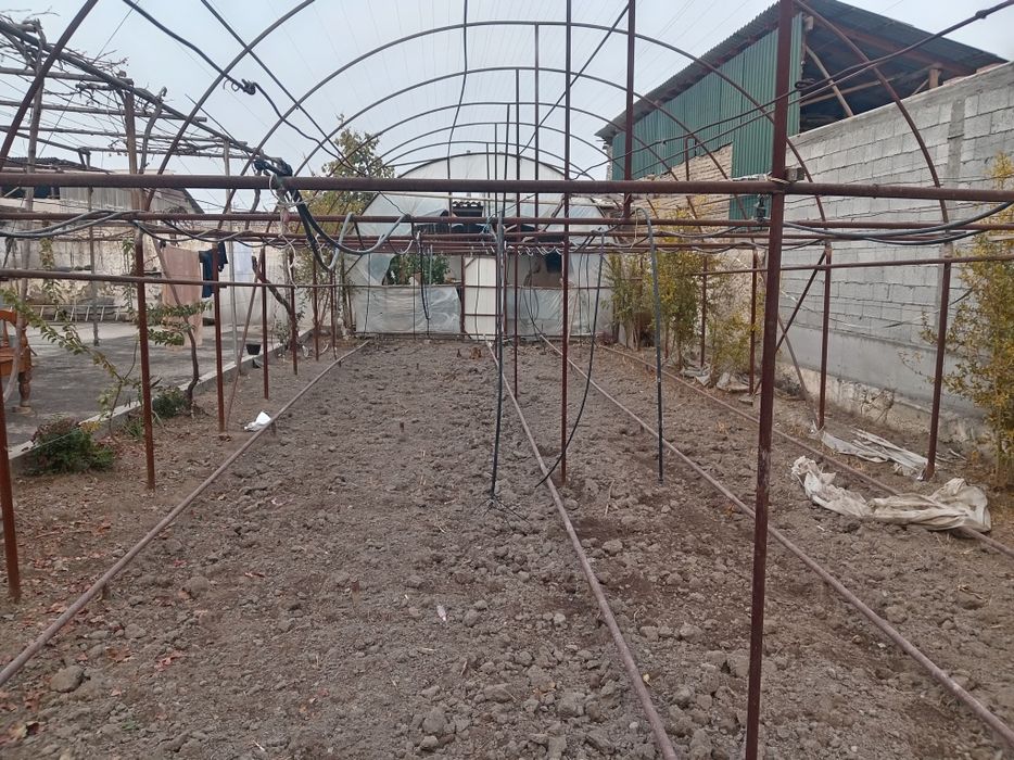 Тайёр типлитса сотилади