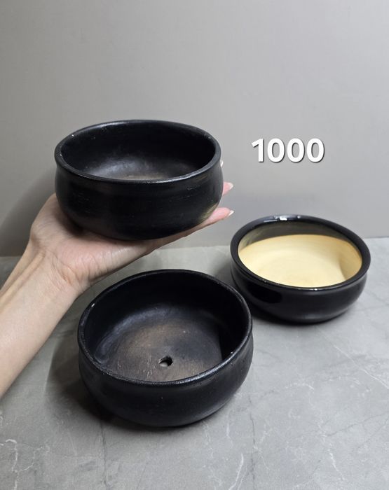 Продам кашпо и бонсайницы