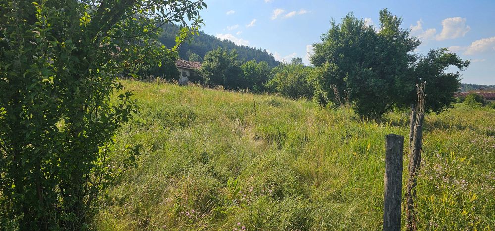 Продава се Парцел в с. Ковачевци, Област Перник - 1469 кв.м за 28 €/кв.м - Снимка #4