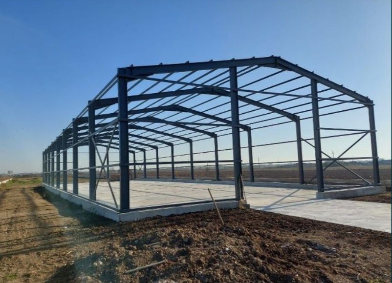 Hale și structuri metalice