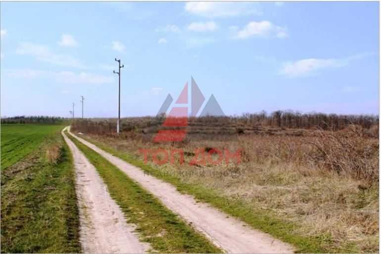 Продава се Парцел в с. Близнаци, Област Варна - 5124 кв.м за 32 €/кв.м - Снимка #4