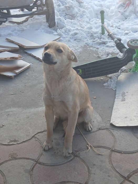 Даром с доставкой