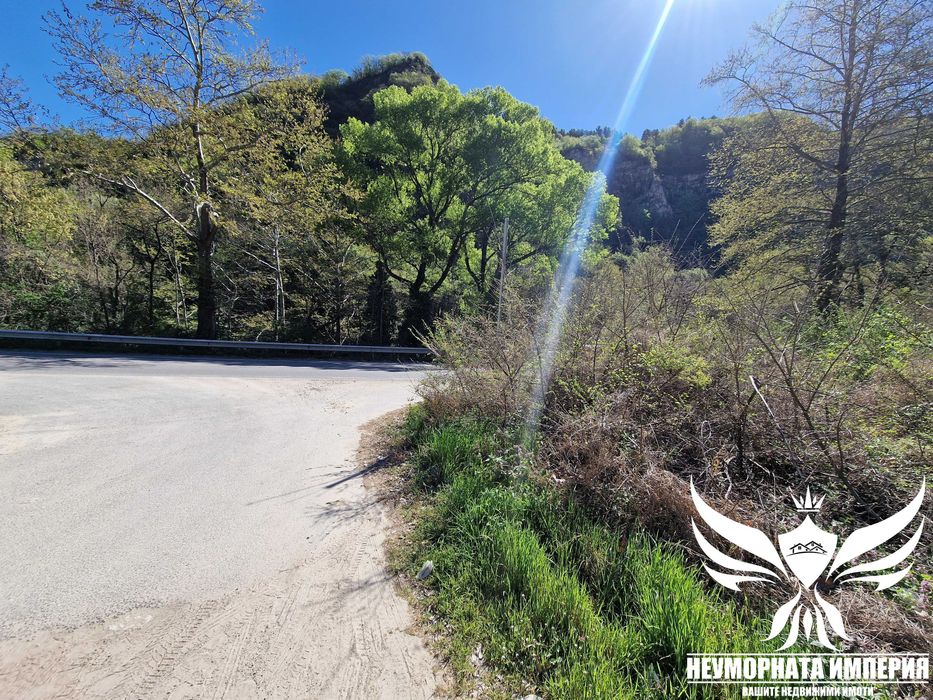 Продава се Парцел в Асеновград - 2555 кв.м за 91 €/кв.м - Снимка #3