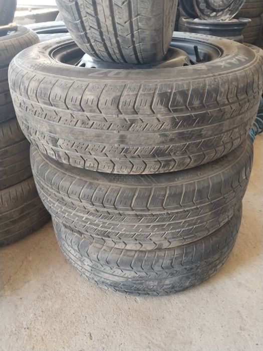 Diska balon kobilt  15 razmeri
