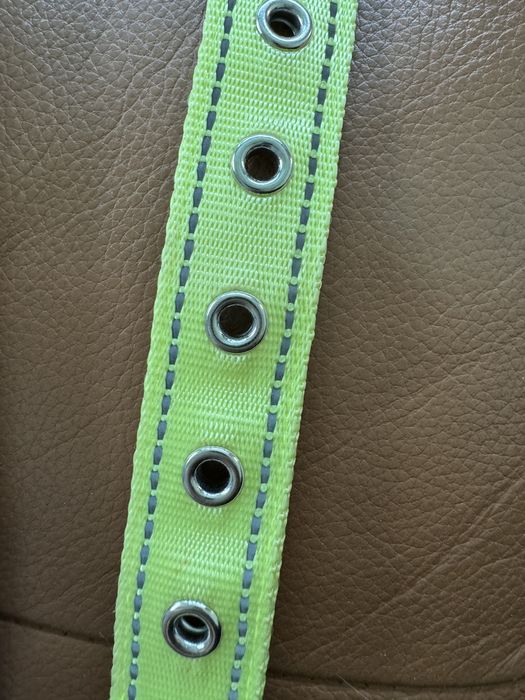 Zgarda cu LED pt caine